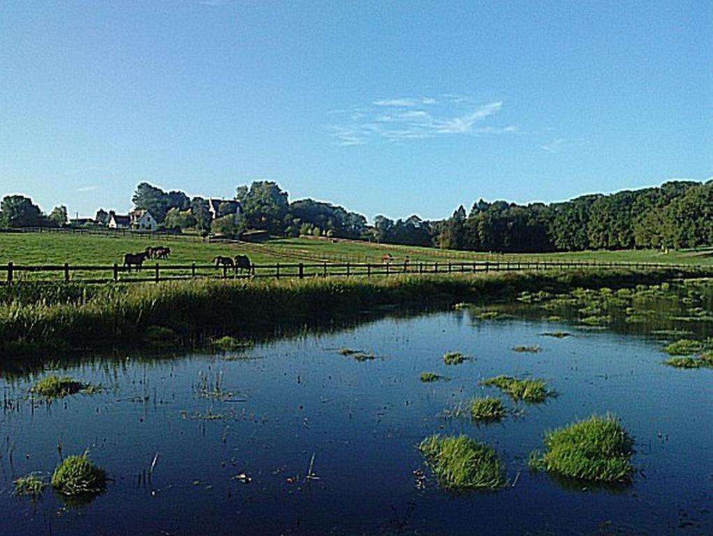 Chambres D'Hotes Du Haras De Coddes Cercy-la-Tour Esterno foto